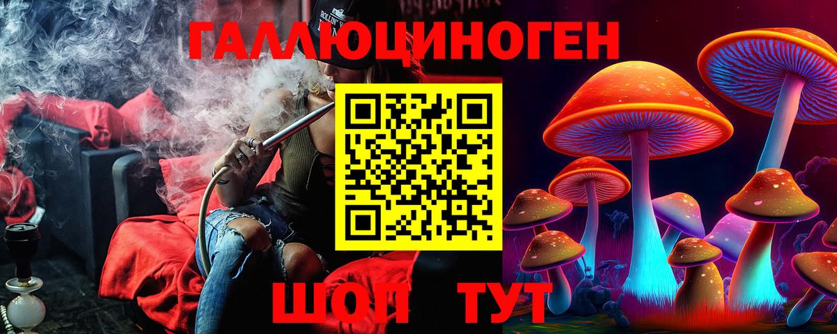 Галлюциногенные грибы MAGIC MUSHROOMS  Вход с VPN  Кольчугино 