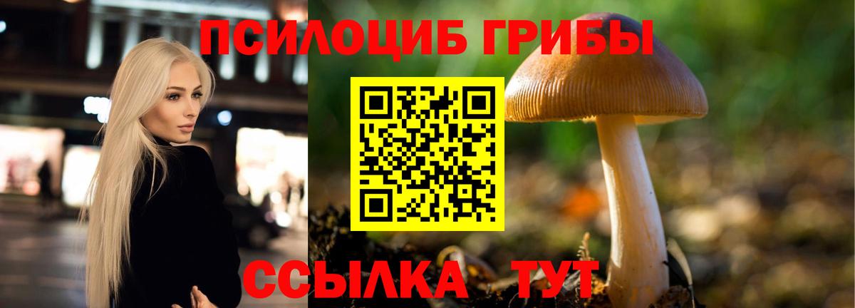 Галлюциногенные грибы Cubensis Кольчугино